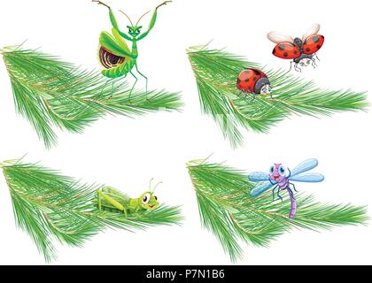 Insect on Pine Tree Branch illustration Stock Vector