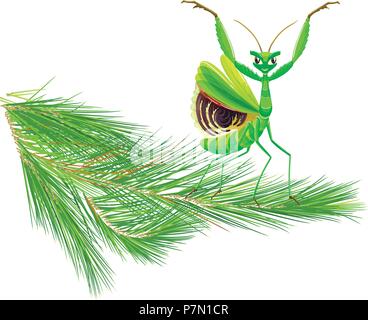 Mantis on Pine Tree Branch illustration Stock Vector