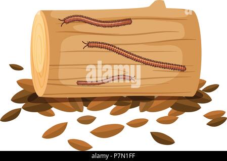 Centipede On Wood on White Background illustration Stock Vector