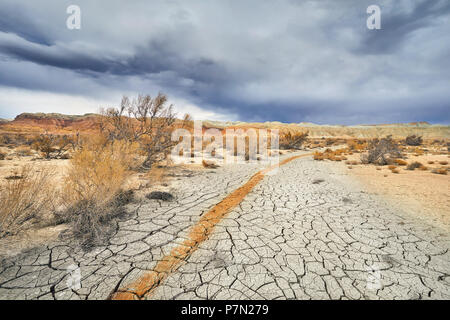 Red stripe from clay on cracked ground in national desert park Altyn Emel in Kazakhstan Stock Photo
