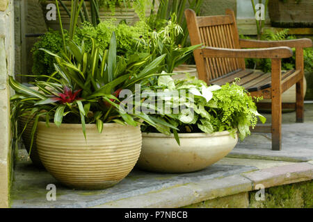 ROUND PATIO POTS OF HOSTA, BROMELIADS AND MAIDENHAIR FERN BESIDE TIMBER GARDEN BENCH. Stock Photo