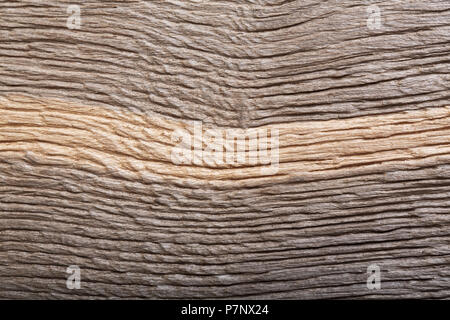 Fantastic texture from picture, made by nature on an old w Stock Photo