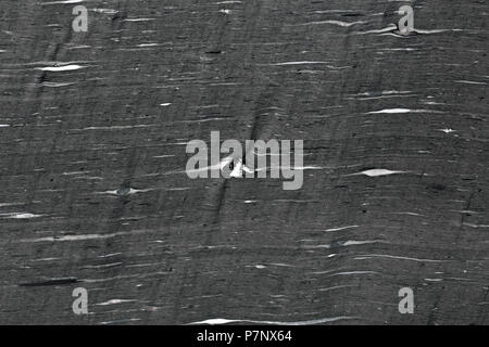 Luxury gray lined natural granire. Stock Photo