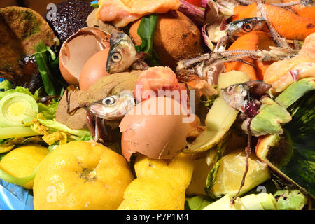 compost on white bacground Stock Photo