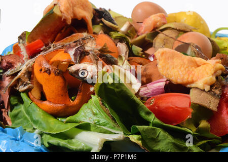 compost on white bacground Stock Photo