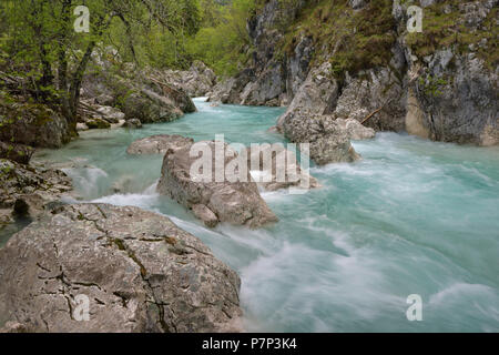 Rapids and rocks in the wild river Soča, Soča Valley, Julian Alps, Slovenia Stock Photo