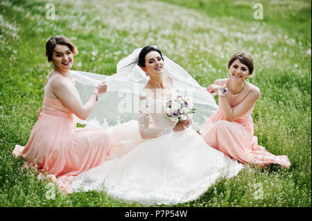 Beautiful bride sitting and posing with bridesmaids on the field full of flowers on the wedding day. Stock Photo