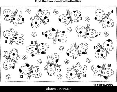 IQ training find the two identical butterflies visual puzzle and coloring page. Answer included. Stock Vector