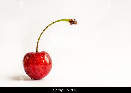 Berries of ripe cherries, drops of dew, one piece. Studio white background Stock Photo