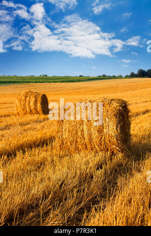 Straw bale on field of hey Stock Photo