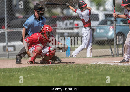 Catcher and umpire preparing for pitch, boys afternoon junior baseball game. Cranbrook, BC. Stock Photo