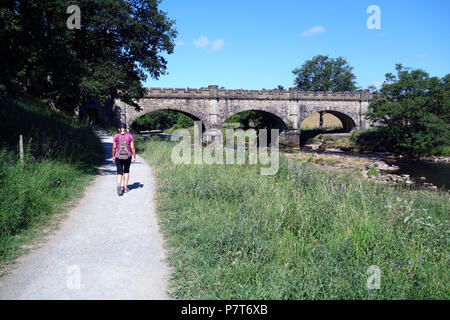 Blond Woman Walking on the Dales Way Long Distance Footpath near Barden Aqueduct by the River Wharfe in Wharfedale, Yorkshire, England, UK. Stock Photo