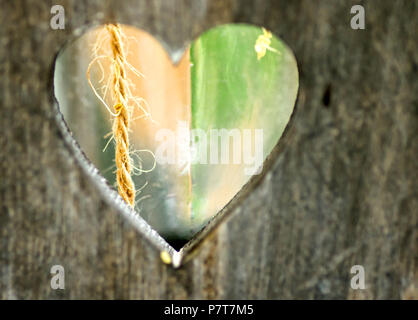 Hearth shaped hole in old wood Stock Photo