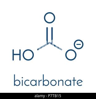 Bicarbonate anion, chemical structure. Common salts include sodium bicarbonate (baking soda) and ammonium bicarbonate. Skeletal formula. Stock Vector