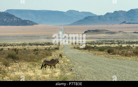 The long, straight road through the Namibrand Nature reserve in the Namib Desert with Oryx on the verge. Scenery Namibia Stock Photo