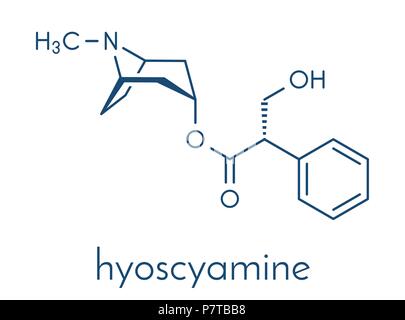 Hyoscyamine alkaloid molecule. Herbal sources include henbane, mandrake, jimsonweed, deadly nightshade and tomato. Skeletal formula. Stock Vector