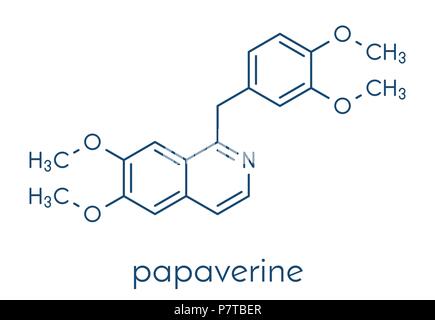 Papaverine opium alkaloid molecule. Used as antispasmodic drug. Skeletal formula. Stock Vector