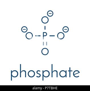 Phosphate anion, chemical structure. Skeletal formula. Stock Vector