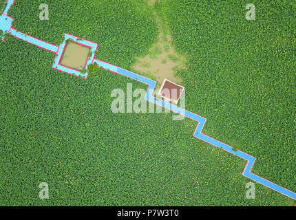 Huai'an, China's Jiangsu Province. 8th July, 2018. Aerial photo shows the scenery of a lotus pond in Laozishan Town of Huai'an, east China's Jiangsu Province, July 8, 2018. Credit: Wan Zhen/Xinhua/Alamy Live News Stock Photo