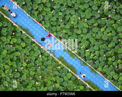 Huai'an, China's Jiangsu Province. 8th July, 2018. Aerial photo shows tourists view a lotus pond in Laozishan Town of Huai'an, east China's Jiangsu Province, July 8, 2018. Credit: Wan Zhen/Xinhua/Alamy Live News Stock Photo