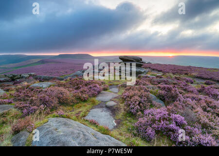 Moody summer sunrise over heather at Over Owler Tor in the Derbyshire Peak District, with the hillfort Carl Wark in the distance Stock Photo