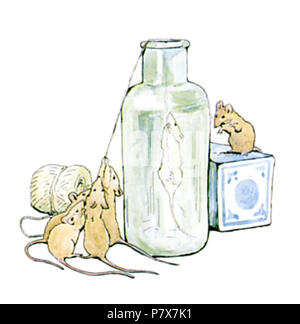 173 Ginger and pickles cover Stock Photo