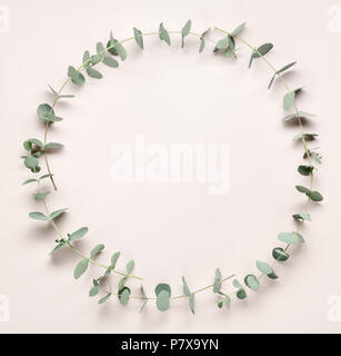 eucalyptus wreath on pink background Stock Photo