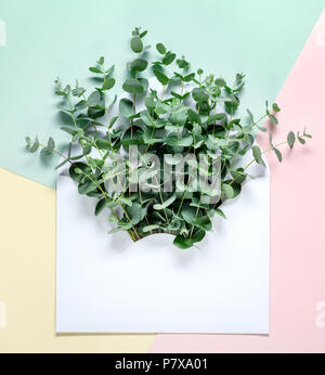 Envelope with eucalyptus leaves Stock Photo