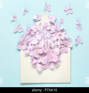 Opened envelop with hydrangea flower Stock Photo