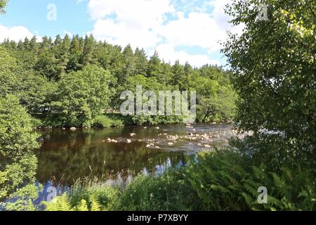 PENNINES IN COUNTY DURHAM Stock Photo