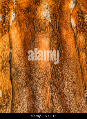 Close up shot of fox fur coat with tones and texture. Stock Photo