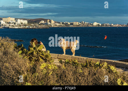 Spain, Tenerife - 06 May 2018: The dog in the rays of the setting against the background of the sea landscape Stock Photo