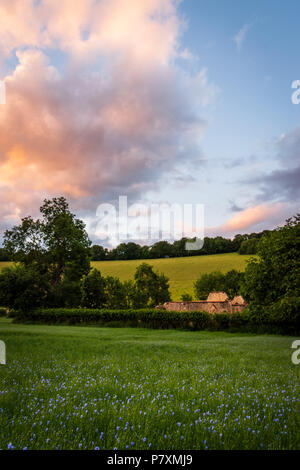 St James' Church ruin in the Bix Valley in the Chilterns Stock Photo