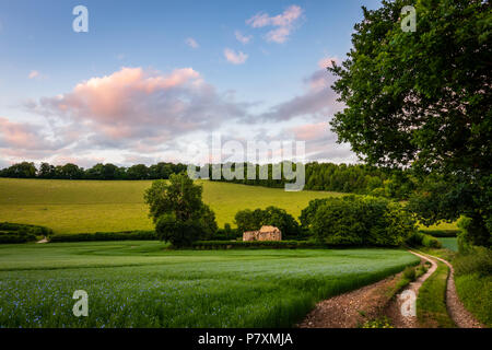 St James' Church ruin in the Bix Valley in the Chilterns Stock Photo