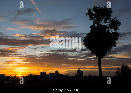 Silhouette abstract town and sugar palm with twilight sky Stock Photo