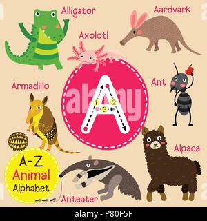 Cute children zoo alphabet A letter tracing of funny animal cartoon for kids learning English vocabulary Stock Vector