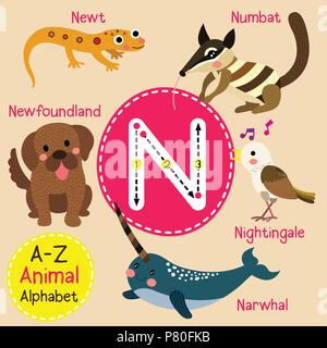 Cute children zoo alphabet N letter tracing of funny animal cartoon for kids learning English vocabulary Stock Vector