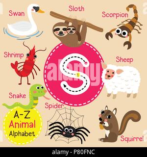 Cute children zoo alphabet S letter tracing of funny animal cartoon for kids learning English vocabulary Stock Vector