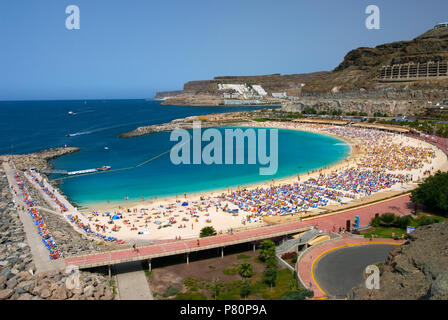 View over holiday resort of Playa de Amadores on Canarian island of Gran Canaria, Spain Stock Photo