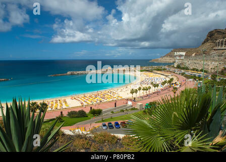 View over holiday resort of Playa de Amadores on Canarian island of Gran Canaria, Spain Stock Photo