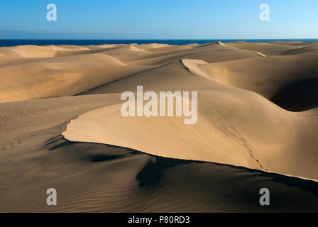 Sand dunes of Maspalomas, Gran Canaria, Canary Islands, Spain Stock Photo