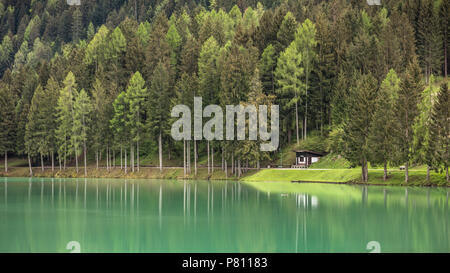 Forest by the lake - Santa Caterina Lake, Auronzo di Cadore, Veneto, Italy Stock Photo