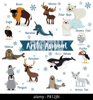 Arctic Animal cartoon on white background with animal name. Penguin, Polar  Bear, Reindeer. Walrus. Moose. Snowy Owl. Arctic Fox. Eagle. Killer whale  Stock Photo - Alamy