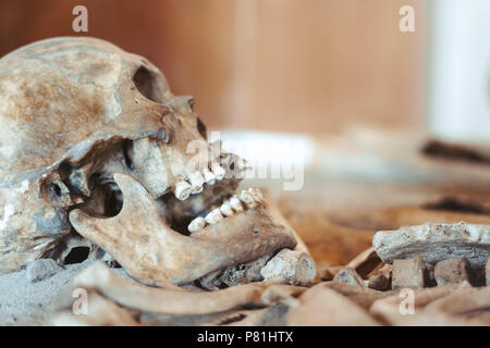 Skull and bones dug from a pit in a terrible cemetery with a dim light Stock Photo