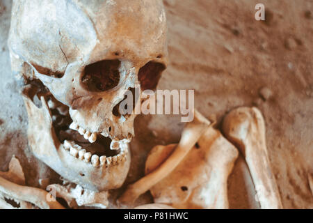 Skull and bones dug from a pit in a terrible cemetery with a dim light Stock Photo