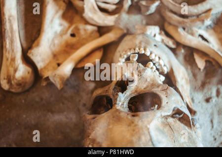 Skull and bones dug from a pit in a terrible cemetery with a dim light Stock Photo