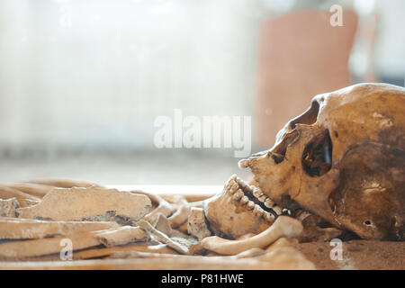 Skull and bones dug from a pit in a terrible cemetery with a dim light Stock Photo