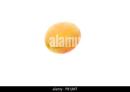 One juicy ripe apricot. On a white background. Stock Photo