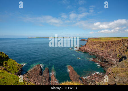 Summer  views along the Pembrokeshire Coast Path in South Wales, UK Stock Photo