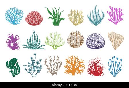 Seaweeds and corals on white. Colored aquarium plants vector illustration, color underwater sea weeds and ocean coral icons Stock Vector
